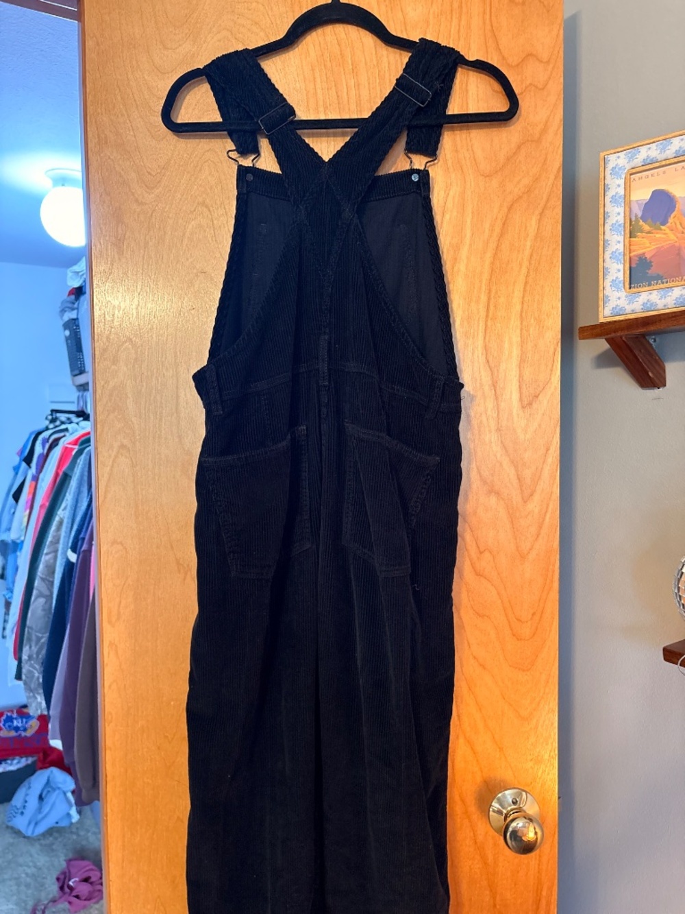 We The Free Ziggy Cord Overalls - Picture 4 of 7